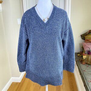Everlane Sweater Cotton V-Neck Blue Marled (S)